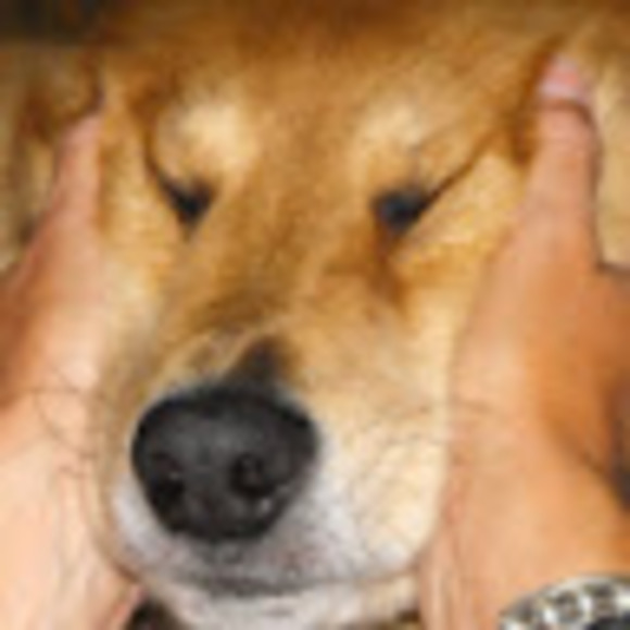 Meet your Posher, Kevin - Picture 1 of 1